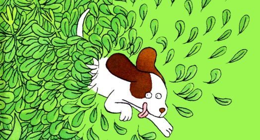 Couverture du livre de littérature de jeunesse "Cours, Youki!" un chien heureux sortant d'un buisson